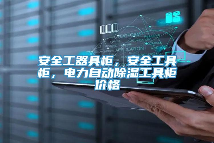 安全工器具柜，安全工具柜，電力自動(dòng)除濕工具柜價(jià)格