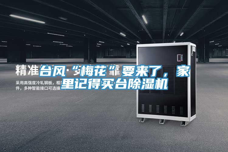 臺風(fēng)“梅花”要來了，家里記得買臺除濕機