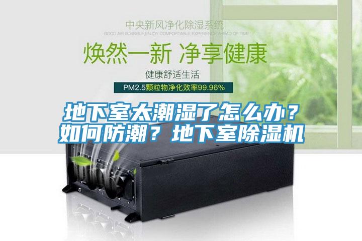 地下室太潮濕了怎么辦？如何防潮？地下室除濕機(jī)