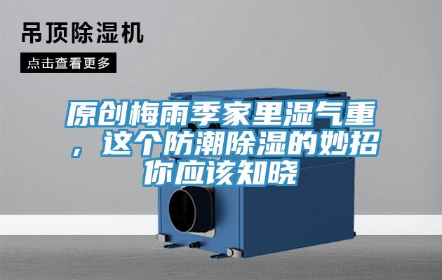 原創(chuàng)梅雨季家里濕氣重，這個防潮除濕的妙招你應該知曉