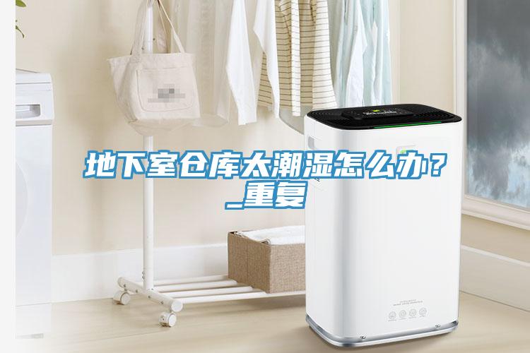 地下室倉(cāng)庫(kù)太潮濕怎么辦？_重復(fù)