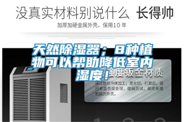 天然除濕器；8種植物可以幫助降低室內(nèi)濕度！