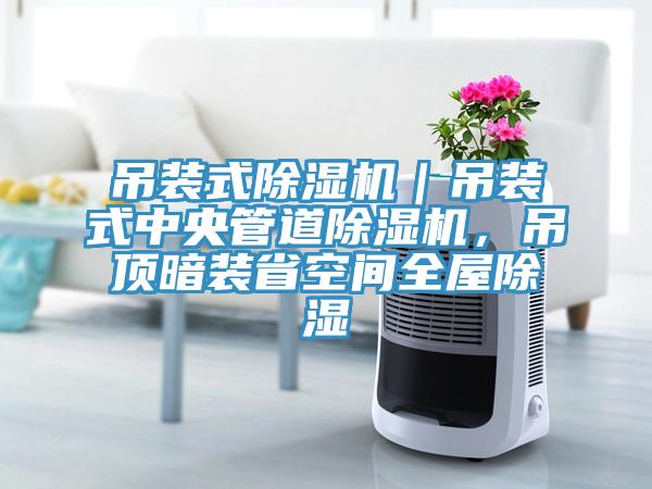 吊裝式除濕機｜吊裝式中央管道除濕機，吊頂暗裝省空間全屋除濕