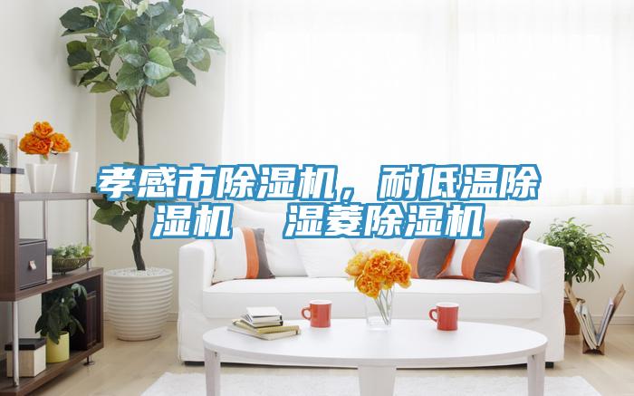 孝感市除濕機(jī)，耐低溫除濕機(jī)  濕菱除濕機(jī)