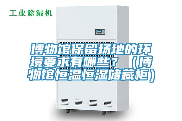 博物館保留場地的環(huán)境要求有哪些？（博物館恒溫恒濕儲(chǔ)藏柜）