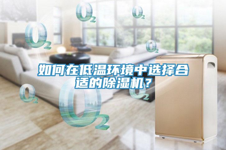 如何在低溫環(huán)境中選擇合適的除濕機？