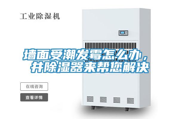 墻面受潮發(fā)霉怎么辦，東井除濕器來幫您解決