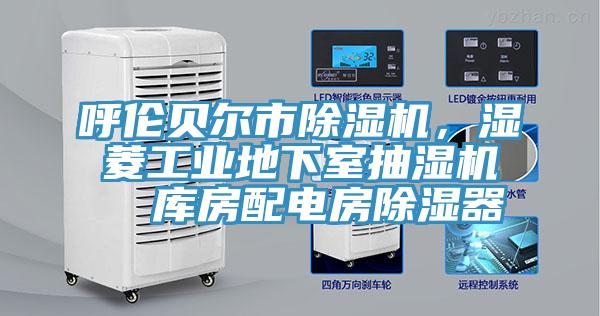 呼倫貝爾市除濕機(jī)，濕菱工業(yè)地下室抽濕機(jī)  庫房配電房除濕器