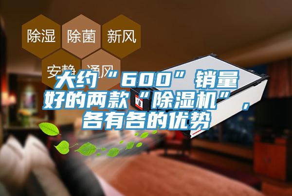 大約“600”銷(xiāo)量好的兩款“除濕機(jī)”，各有各的優(yōu)勢(shì)