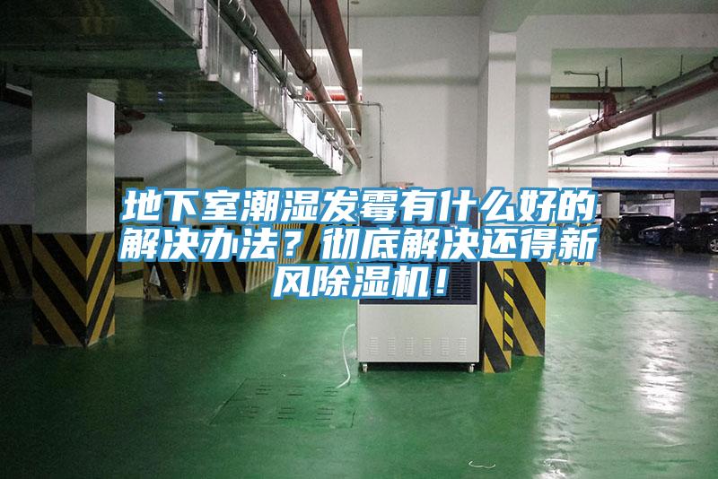 地下室潮濕發(fā)霉有什么好的解決辦法？徹底解決還得新風(fēng)除濕機(jī)！
