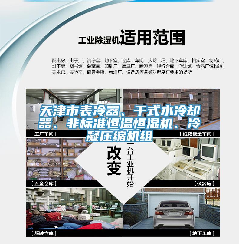 天津市表冷器、干式水冷卻器、非標(biāo)準(zhǔn)恒溫恒濕機(jī)、冷凝壓縮機(jī)組