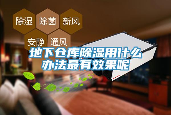 地下倉(cāng)庫除濕用什么辦法最有效果呢