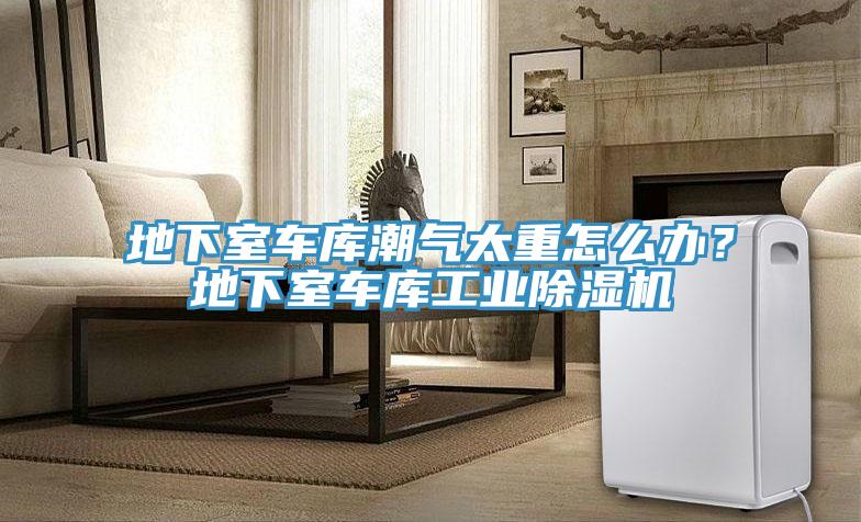 地下室車庫潮氣太重怎么辦？地下室車庫工業(yè)除濕機(jī)