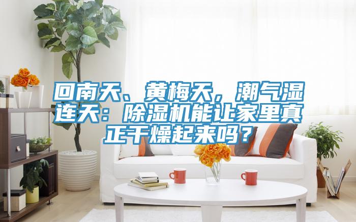 回南天、黃梅天，潮氣濕連天：除濕機(jī)能讓家里真正干燥起來嗎？