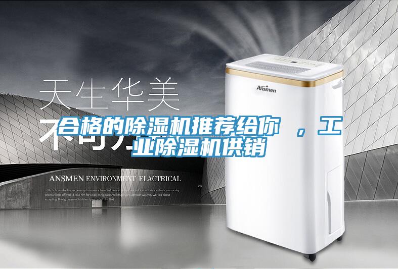 合格的除濕機推薦給你 ，工業(yè)除濕機供銷