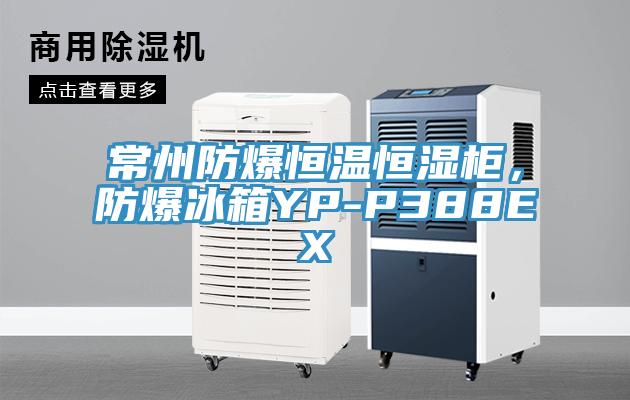 常州防爆恒溫恒濕柜，防爆冰箱YP-P388EX