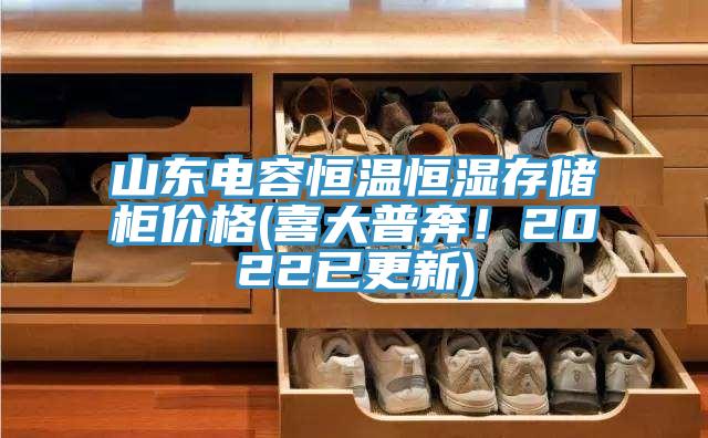 山東電容恒溫恒濕存儲(chǔ)柜價(jià)格(喜大普奔！2022已更新)