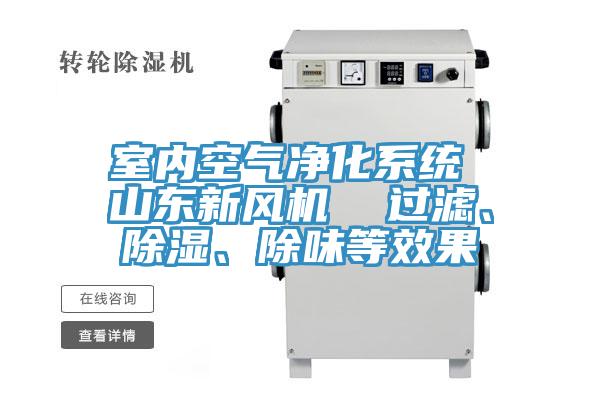 室內(nèi)空氣凈化系統(tǒng) 山東新風(fēng)機(jī)  過濾、除濕、除味等效果