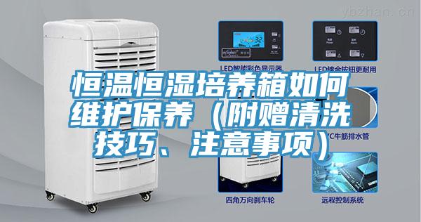 恒溫恒濕培養(yǎng)箱如何維護(hù)保養(yǎng)（附贈(zèng)清洗技巧、注意事項(xiàng)）