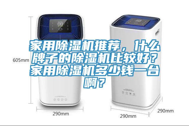 家用除濕機(jī)推薦，什么牌子的除濕機(jī)比較好？家用除濕機(jī)多少錢一臺(tái)??？