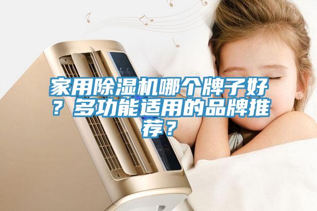 家用除濕機(jī)哪個牌子好？多功能適用的品牌推薦？
