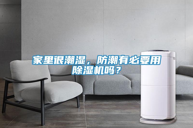 家里很潮濕，防潮有必要用除濕機嗎？