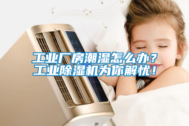工業(yè)廠房潮濕怎么辦？工業(yè)除濕機(jī)為你解憂！