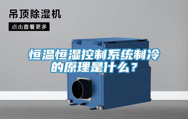 恒溫恒濕控制系統(tǒng)制冷的原理是什么？
