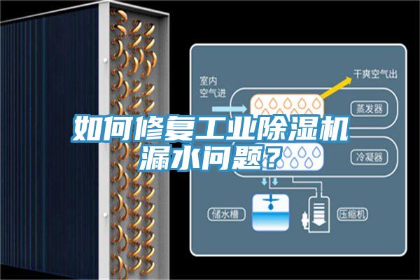 如何修復(fù)工業(yè)除濕機(jī)漏水問(wèn)題？