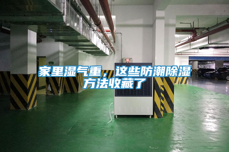 家里濕氣重，這些防潮除濕方法收藏了