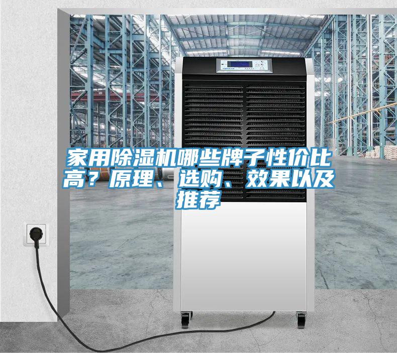 家用除濕機(jī)哪些牌子性價(jià)比高？原理、選購、效果以及推薦