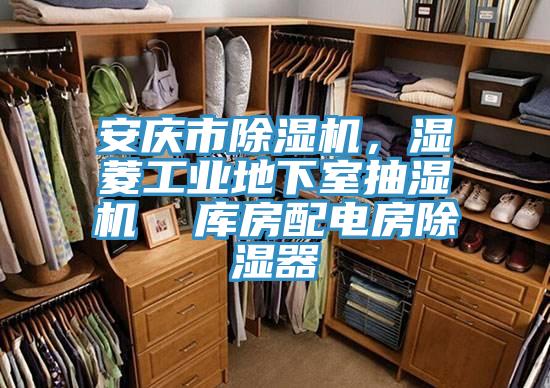 安慶市除濕機，濕菱工業(yè)地下室抽濕機  庫房配電房除濕器
