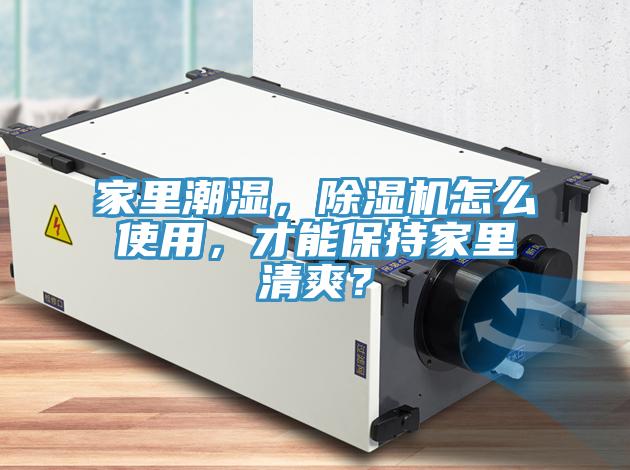 家里潮濕，除濕機怎么使用，才能保持家里清爽？