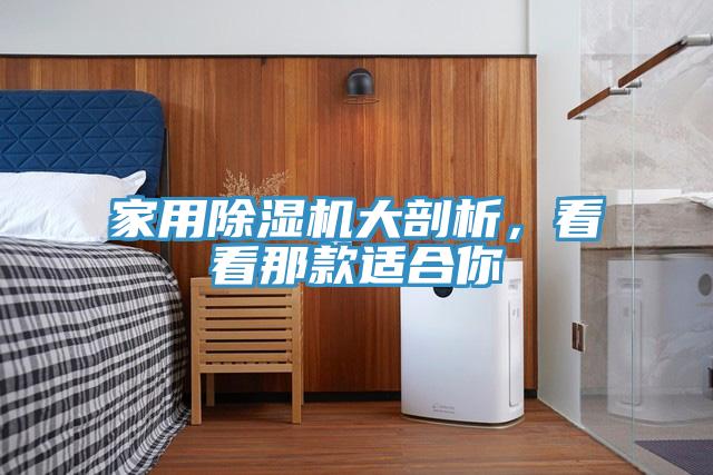 家用除濕機大剖析，看看那款適合你