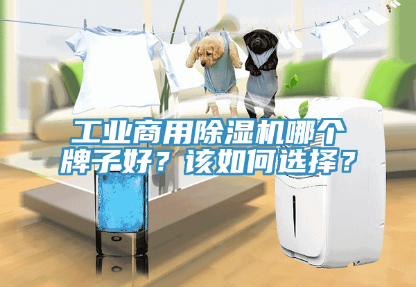 工業(yè)商用除濕機(jī)哪個(gè)牌子好？該如何選擇？