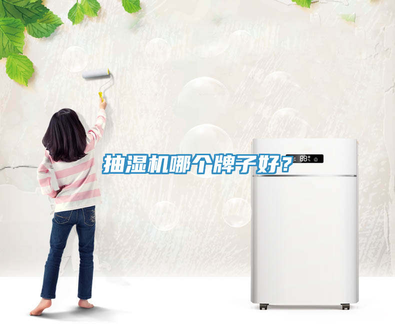 抽濕機哪個牌子好？