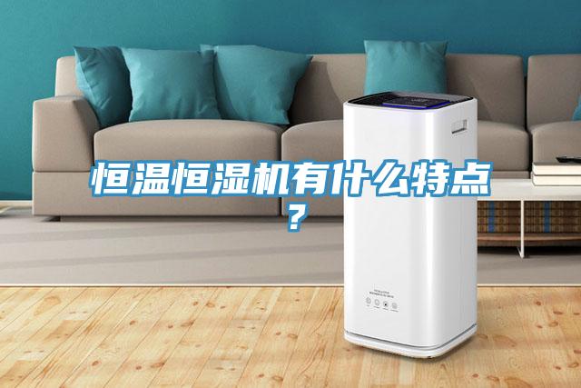 恒溫恒濕機(jī)有什么特點(diǎn)？