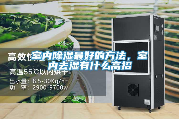 室內除濕最好的方法，室內去濕有什么高招