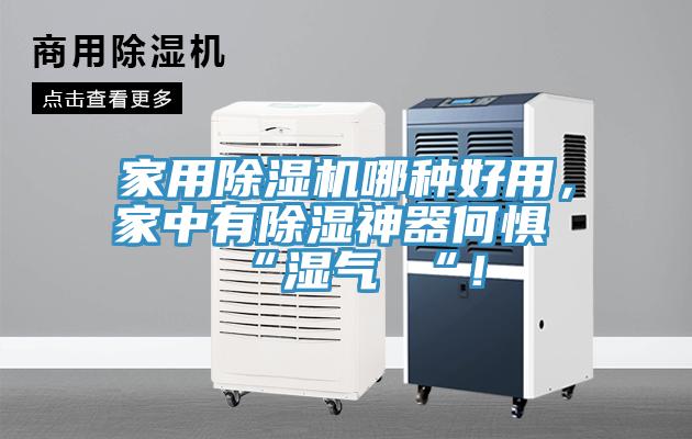 家用除濕機哪種好用，家中有除濕神器何懼 “濕氣 “！