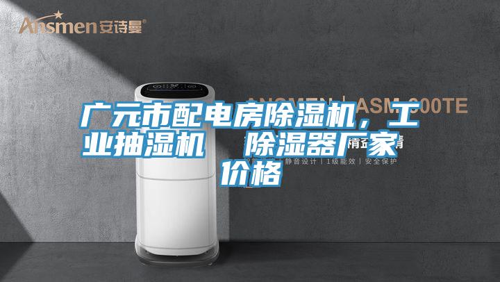 廣元市配電房除濕機(jī)，工業(yè)抽濕機(jī)  除濕器廠家 價格