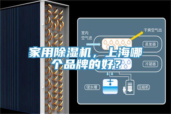 家用除濕機(jī)，上海哪個(gè)品牌的好？