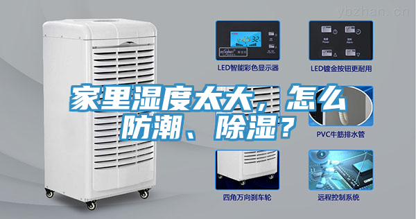 家里濕度太大，怎么防潮、除濕？