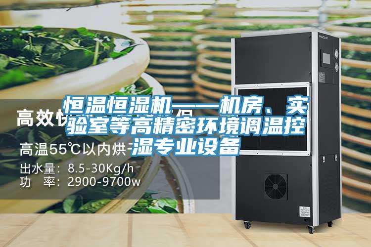 恒溫恒濕機(jī)——機(jī)房、實(shí)驗(yàn)室等高精密環(huán)境調(diào)溫控濕專業(yè)設(shè)備
