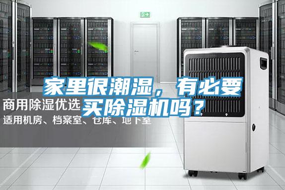 家里很潮濕，有必要買除濕機嗎？