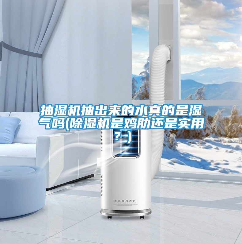 抽濕機(jī)抽出來(lái)的水真的是濕氣嗎(除濕機(jī)是雞肋還是實(shí)用？)