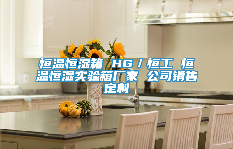恒溫恒濕箱 HG／恒工 恒溫恒濕實(shí)驗(yàn)箱廠家 公司銷(xiāo)售定制