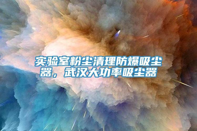 實驗室粉塵清理防爆吸塵器，武漢大功率吸塵器