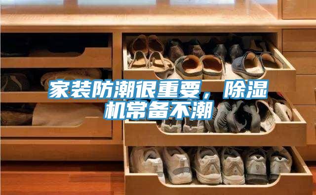 家裝防潮很重要，除濕機常備不潮