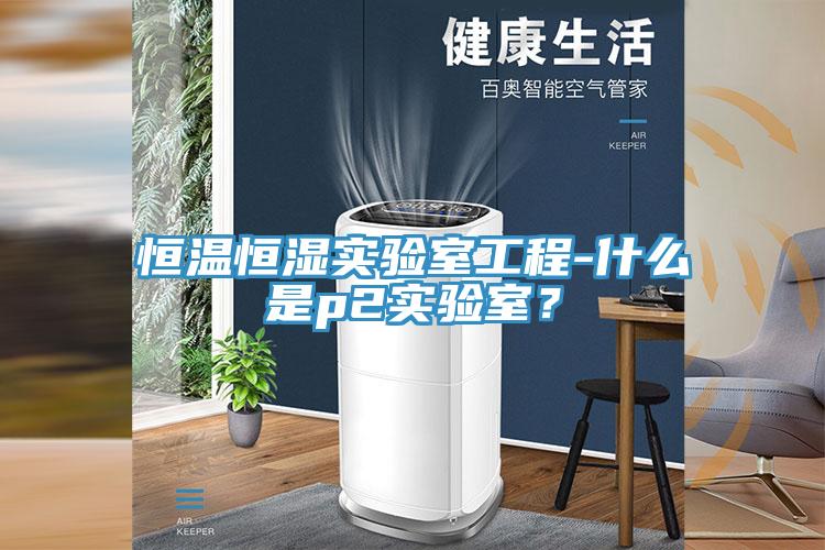 恒溫恒濕實(shí)驗(yàn)室工程-什么是p2實(shí)驗(yàn)室？