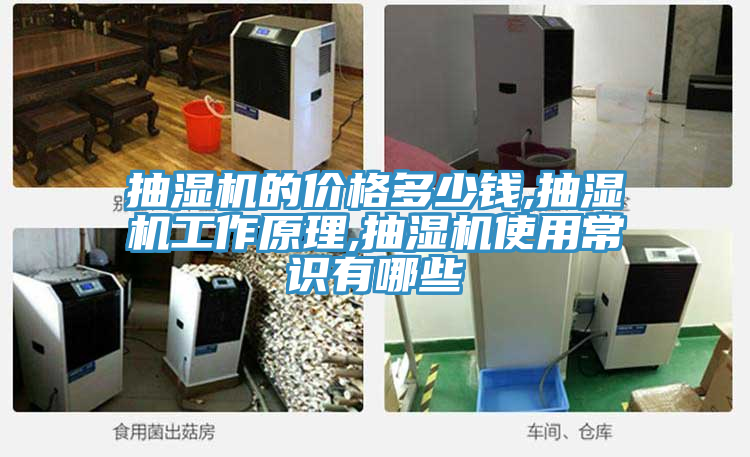 抽濕機(jī)的價格多少錢,抽濕機(jī)工作原理,抽濕機(jī)使用常識有哪些
